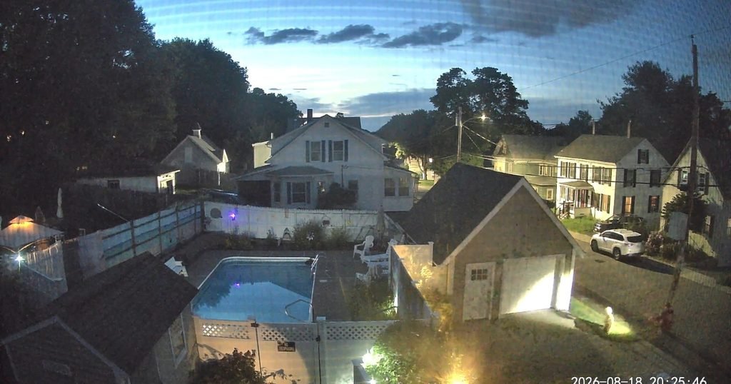 Person walking their dog caught on my Wyze cam property cam (still shot though a screen window)