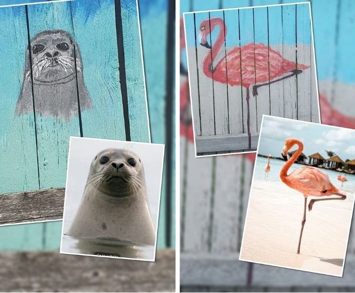 A photos of sections of my fence mural. A seal with the inspirational photo and a flamingo with the inspirational photo I painted it from.